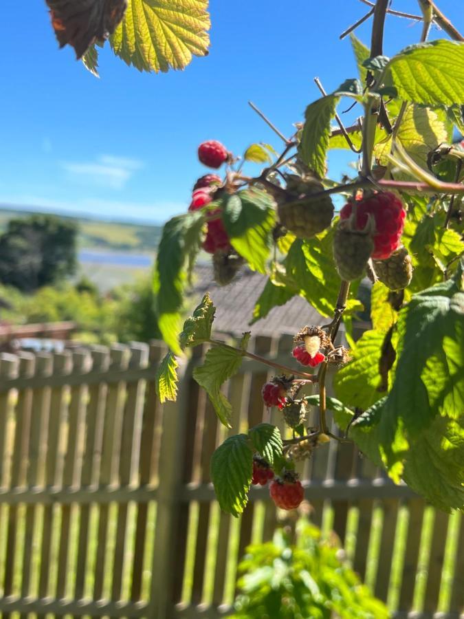 Black Isle View *