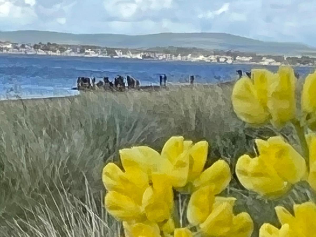 Black Isle View Dingwall